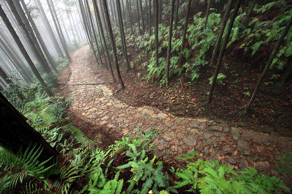 Kumano Kodo Cobblestone Trail